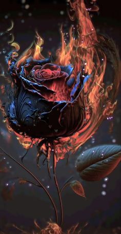 Fiery Rose of Life 