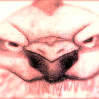 Dha Burd v202