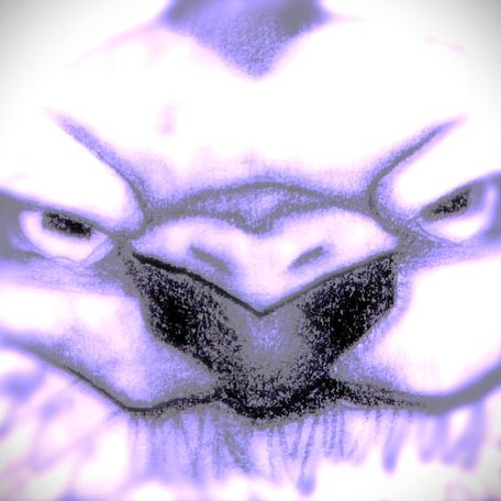 Dha Burd v21