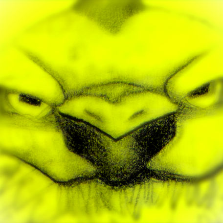 Dha Burd v22
