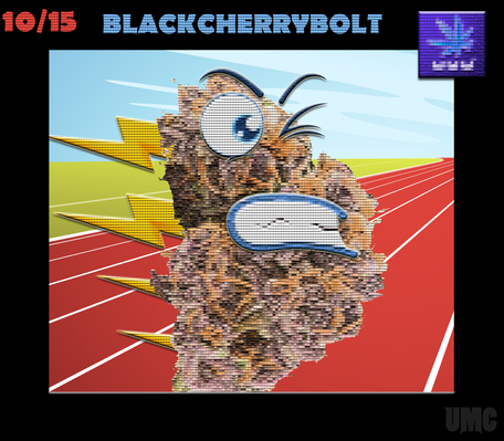 BLACKCHERRYBOLT