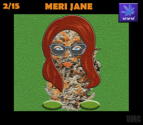 MERI JANE