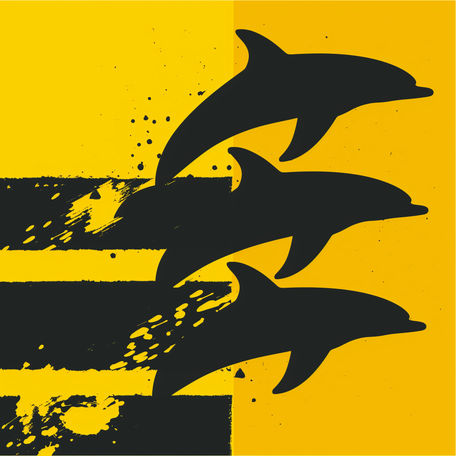 Playful Dolphins Leap