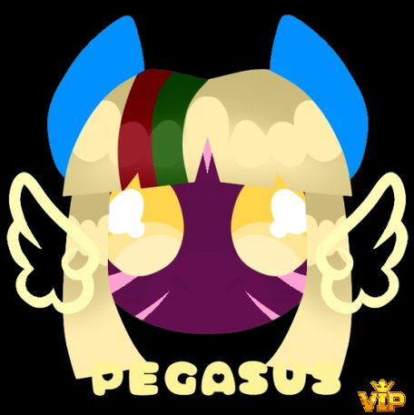 Pony IDEA