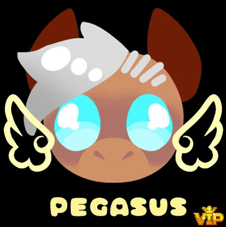 Pony IDEA