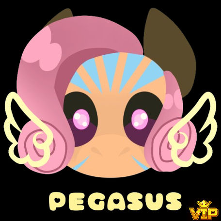 pony IDEA