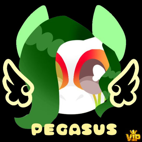 pony IDEA