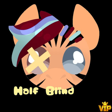 pony IDEA