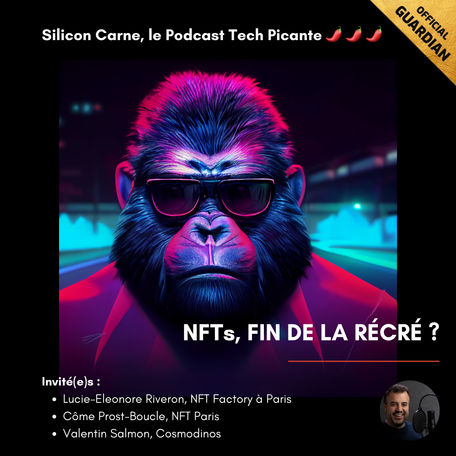 NFTs, fin de la récré ?