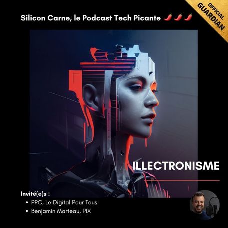Illectronisme